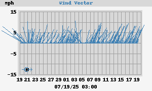 Wind Vector